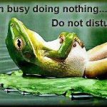 Mood and Peace I am busy doing nothing... Do not disturb.