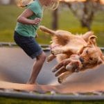 Trampoline Like Above, so bellow