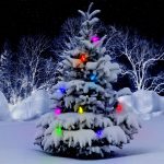 It’s Christmas Time!!! (11 Quotes & 11 Songs) It's Christmas Time