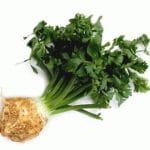 HOW CAN CELERY RESTORE OUR HEALTH – PART 2 How can celery restore our health
