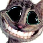 Is Smiling Contagious?