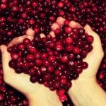 FREE Tips For Perfect Eyesight Cranberries (Vaccinium myrtillus)