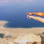 How Can We Tell What Road To Take? Premise and Theme What Road to Take