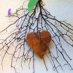 Locks and Keys locks and keys