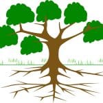 Up or Down… which one’s deeper? up or down