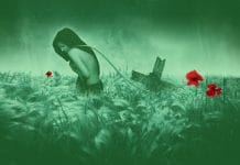 The Day I Became A Vegetarian 7 chakras