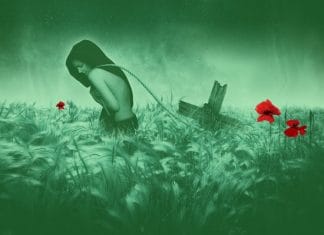 The Day I Became A Vegetarian 7 chakras