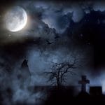 Talking about Death: Why do People Fear Death? Why do people fear death?